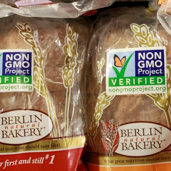 EU Parliament's environmental committee supports relaxing rules on genetically modified plants